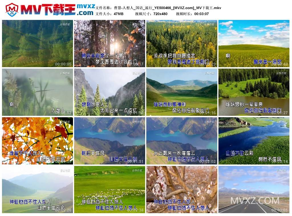 曹慧-人想人_国语_流行_YE500466